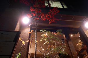 101119 sakura4 RIMG4156.jpg